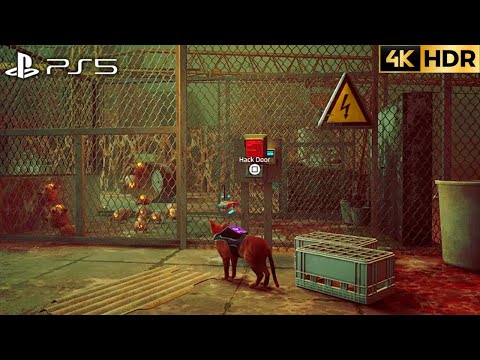 STRAY (PS5) Chapter 5: Rooftops Walkthrough (4K HDR)