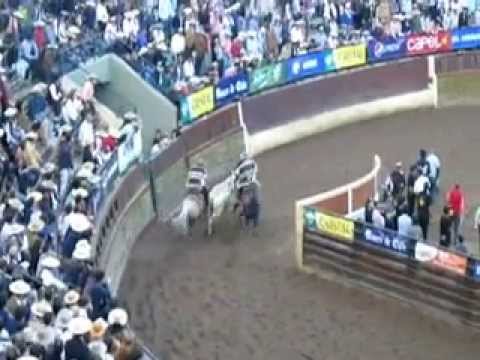 Valdebenito y Corvalán del Criadero Peleco se consagraron como los campeones en el Champion 2013