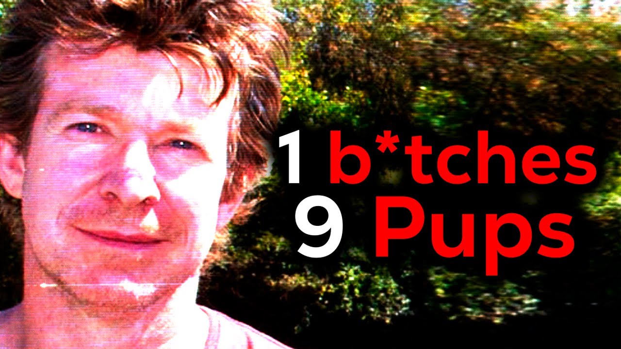 O Pior Video da Internet