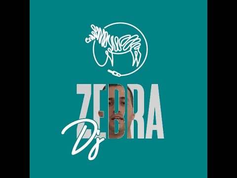 DJ ZEBRA | MY BEST OF : SHAY DT SESSION #1