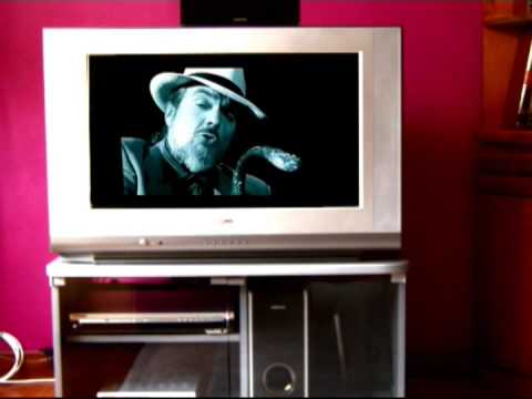 Perfect Day ( various artists)