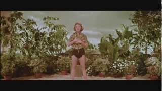 Mitzi Gaynor   Screen Test for South Pacific #2
