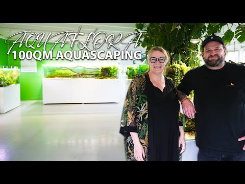 AQUAFLORA - Der 100qm Aquascaping-Raum + 3 Meter New Wave Special!