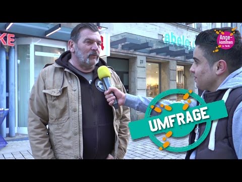 Vorbilder - Eine Umfrage