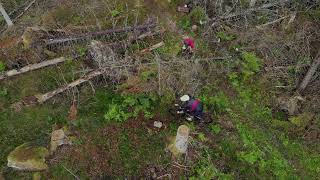 Arboga MTB Trails video.