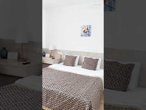 Однокомнатная квартира в Академическом — xl.webp