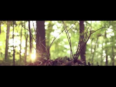 Who are you - The plant means now (official video)