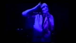 MIDNIGHT OIL   Is It Now   Live @ Melbourne Showgrounds   June 19, 1980