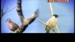 Download lagu SABAR AI - BANJAR SAMARINDA Kalimantan Timur mp3