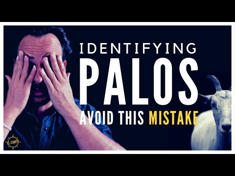 How Cante Flamenco Works | 6 things you must know about Palos and Salida del Cante