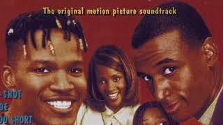 KRS One - Plan Up Your Family (CDQ)