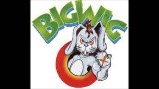Bigwig - The girl in the green jacket live drummondville