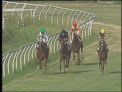 Galoppo 23/07/2016 - 1° corsa