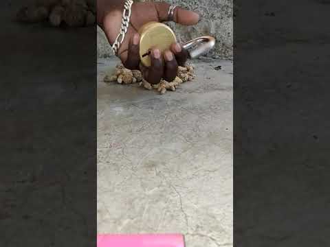 Original black turmeric, packaging size: 50g