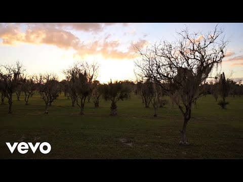 The Champ Jaxon Band - Born in the Grove