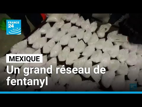 Mexique : El Mencho, ou le plus grand trafiquant de fentanyl au monde • FRANCE 24