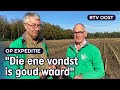 Indiana Jones in Twente: schatgravers Kees en Ben zoeken 'goud' | RTV Oost