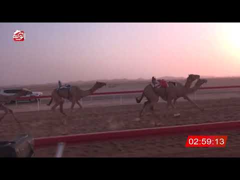  ش 7 (منذر) لـ محمد حمد بن محمد العفاري 6:27:94 ، مهرجان العين 2026/07/10 إيذاع الوقن