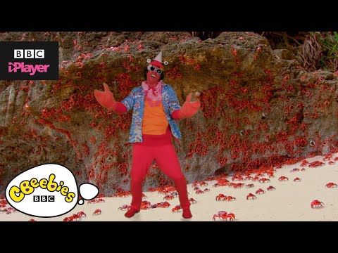 アンディのアクアティックラップ｜クールカニ｜CBeebies (Andy's Aquatic Raps | Cool Crabs | CBeebies)