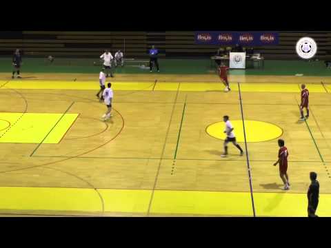 UMN_TV - Elektroprijenos - Jadransko Osig. (Pol 1)