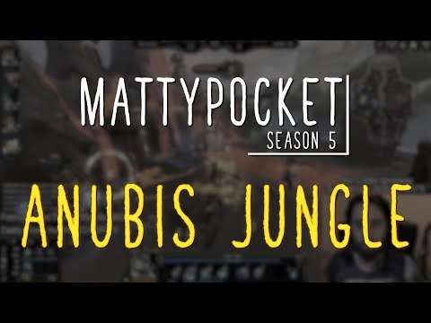MattyPocket | Anubis Jungle | WHO LET THE DOGS OUT