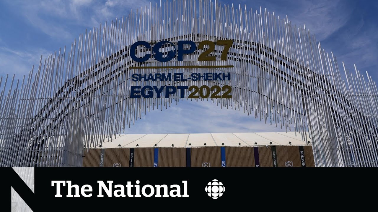 World climate summit to get underway in Egypt against backdrop of war in Ukraine