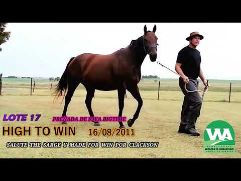 Lote HIGH TO WIN
