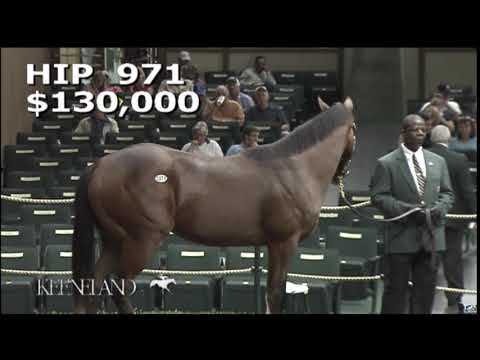Cistron as a Keeneland September Yearling