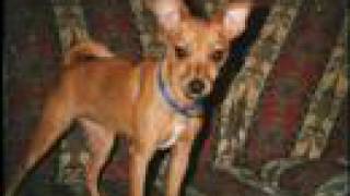 SEETHER -   Fade Away