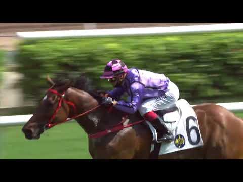 25/9/2022 (40) Sweet Encounter - A Badel