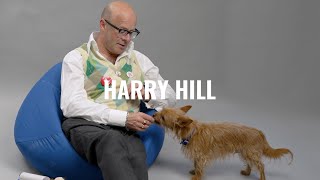 Battersea Rescues Meet: Harry Hill
