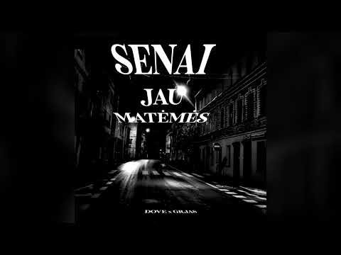 DOVE X GRJAS - SENIAI JAU MATĖMĖS (Audio)