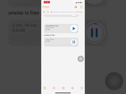 Leekmoney X janky X braylo -smoke is free