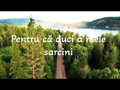 Eu, n-am cuvinte, Doamne Sfinte