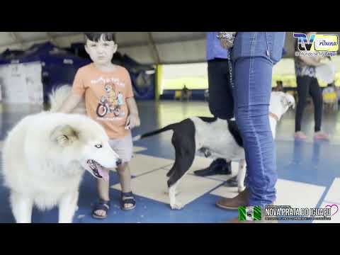 NOVA PRATA DO IGUAÇU: