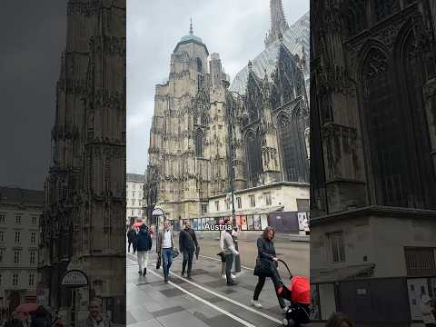 Vienna, Austria 🇦🇹 A Random Question About City Horses