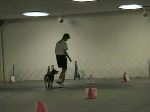 Foster gets his first Rally Advanced A Leg