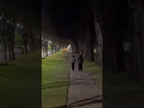 Ellos van caminando lo más bien por los parques de la costa de #chascomus #shorts #buenosaires