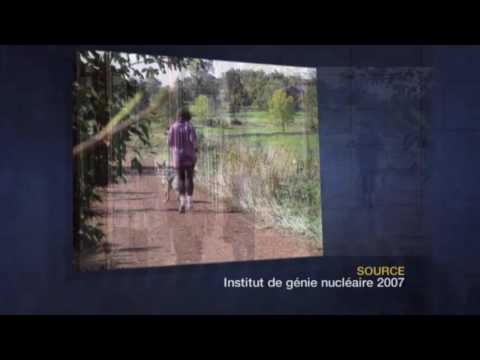 Expérience internationale dans le transport du combustible nucléaire irradié