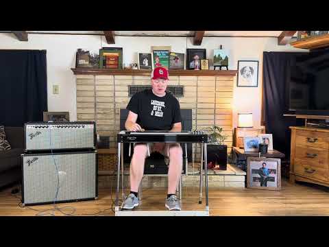 Stage One Pedal Steel Guitar