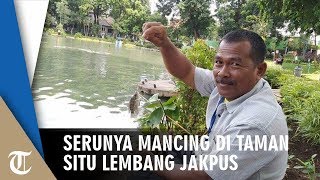 Serunya Mancing Ikan di Taman Situ Lembang, Jakarta Pusat