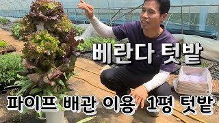 파이프로 만든 아파트 베란다용 텃밭 공간 활용 나도 채소 직접 키워서 # The veranda garden