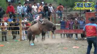 preview picture of video 'JARIPEO PROFESIONAL EN CERRO PELÓN AYUTLA MIXE 2011'