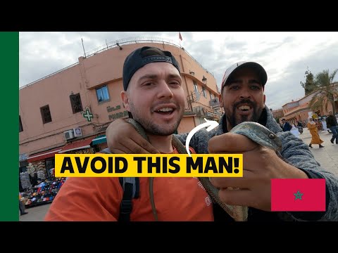 Marrakech, Morocco: Snakes, Scammers & Sheikhs