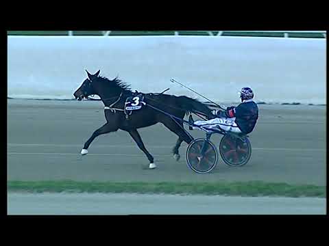 Napoli Trotto 14/01/2022 - 7ª corsa