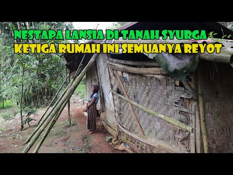 I cringe at the sight of their lives. Misery for the rest of their lives.