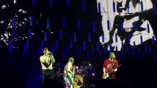 Red Hot Chili Peppers Live Detroit 2/2/2017