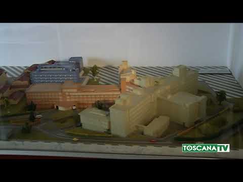 2019-07-08 PRATO - ABBATTIMENTO MED, TORNA IN CORSA PRIMA CLASSIFICATA