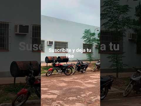 tintina Santiago del estero