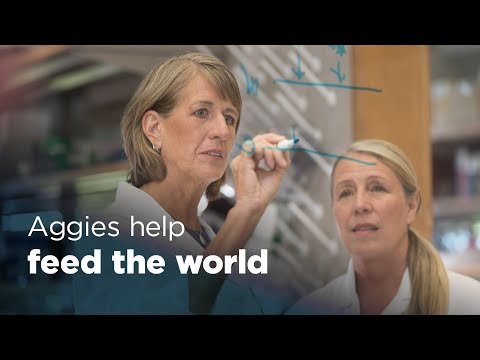 Aggie Impact: Helping Feed The World
